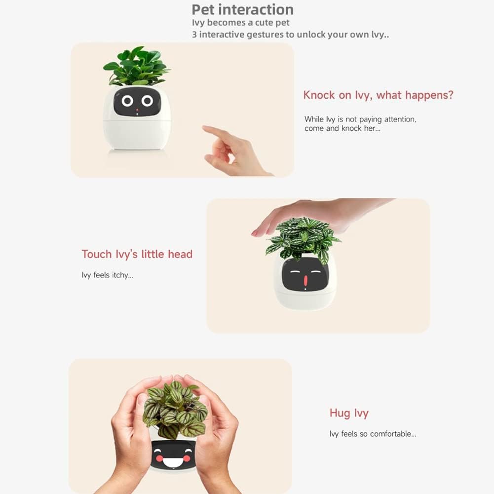 Interactive plant with face and text instructions on pet interaction