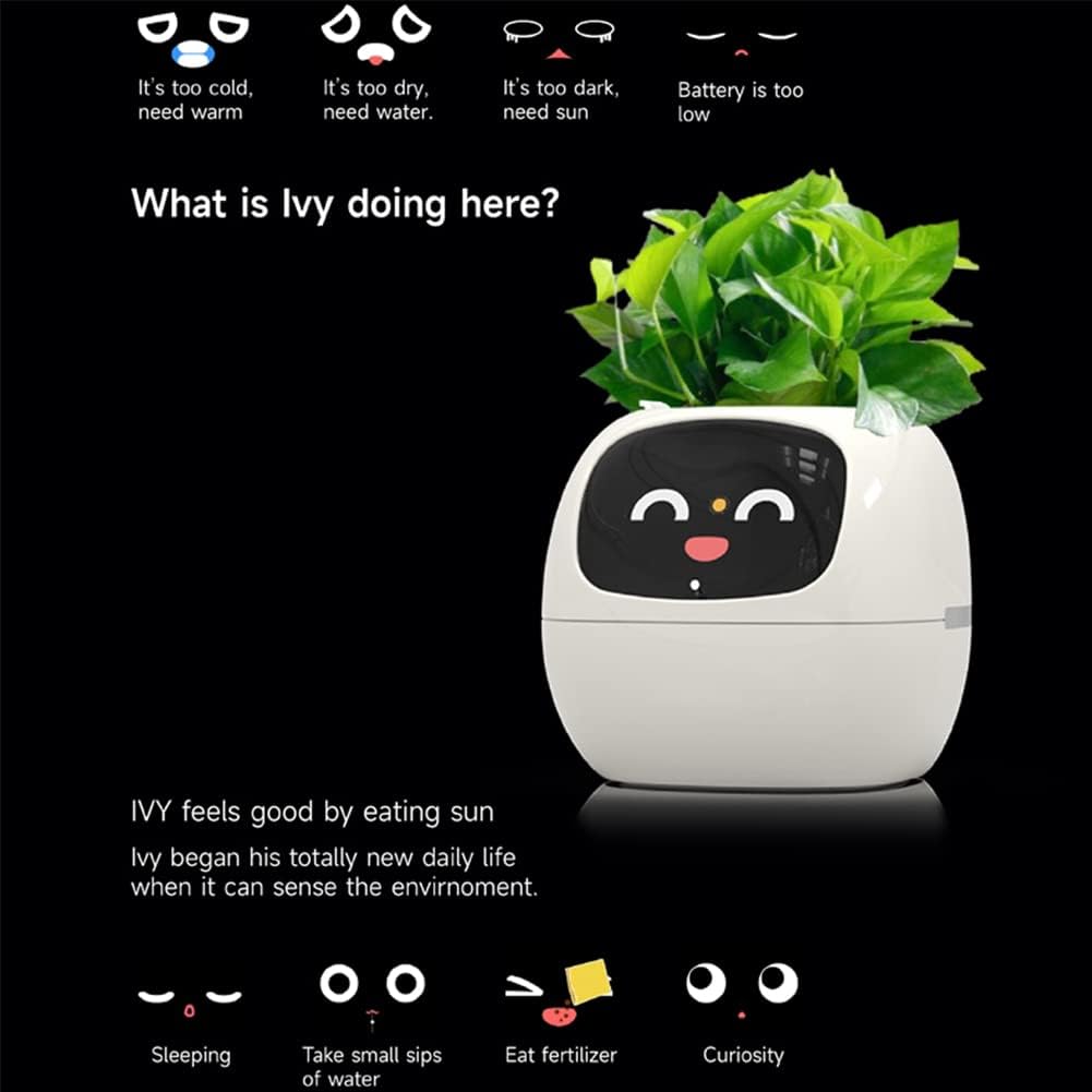 Smart plant pot with a face displaying emotions and needs on a black background