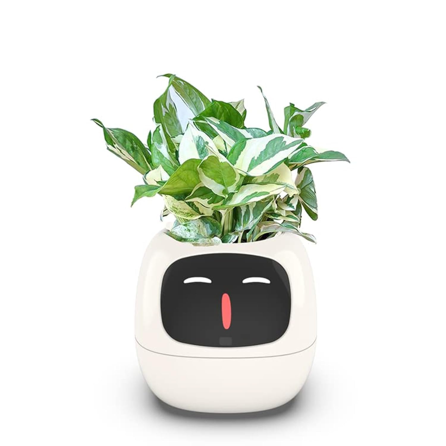 White planter with a face design and green plant on a white background