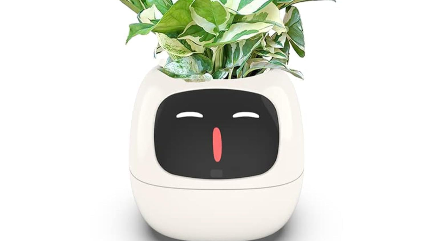 White planter with a face design and green plant on a white background