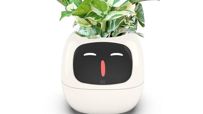 White planter with a face design and green plant on a white background