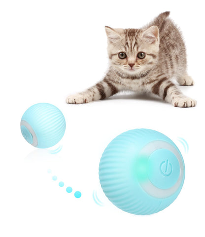 Cat playing with a blue electronic ball toy on a white background