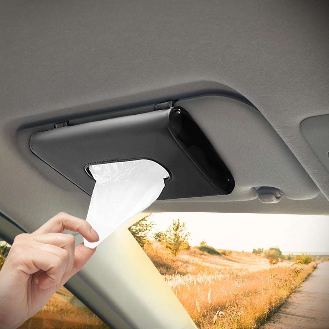 Hand reaching for a car visor tissue holder with a scenic background