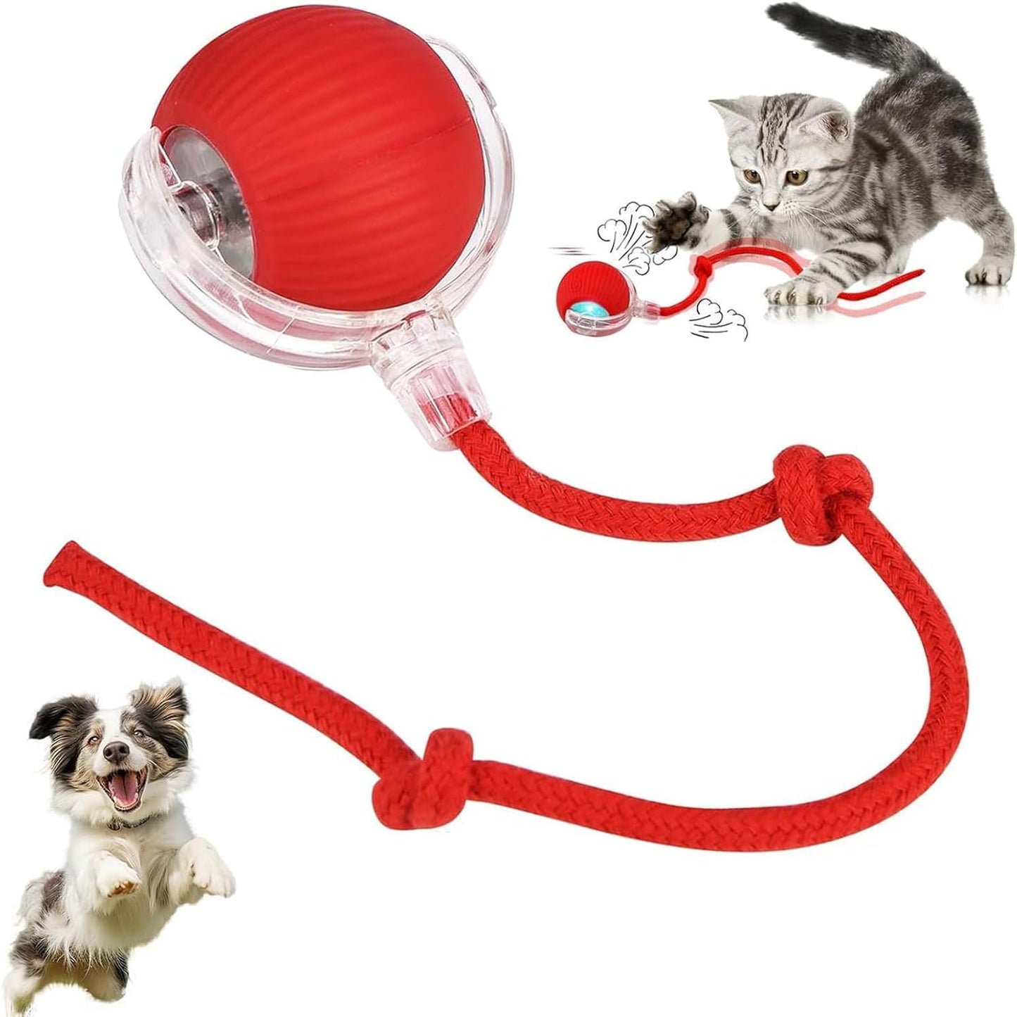 Red ball on a string toy with a cat and dog on a white background