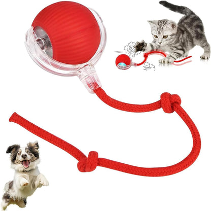 Red ball on a string toy with a cat and dog on a white background