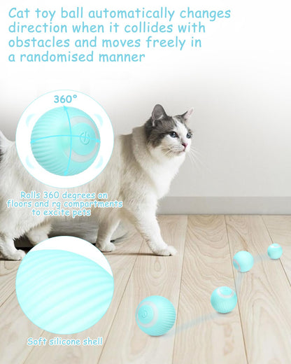 Cat playing with a self-rotating ball toy on a wooden floor.