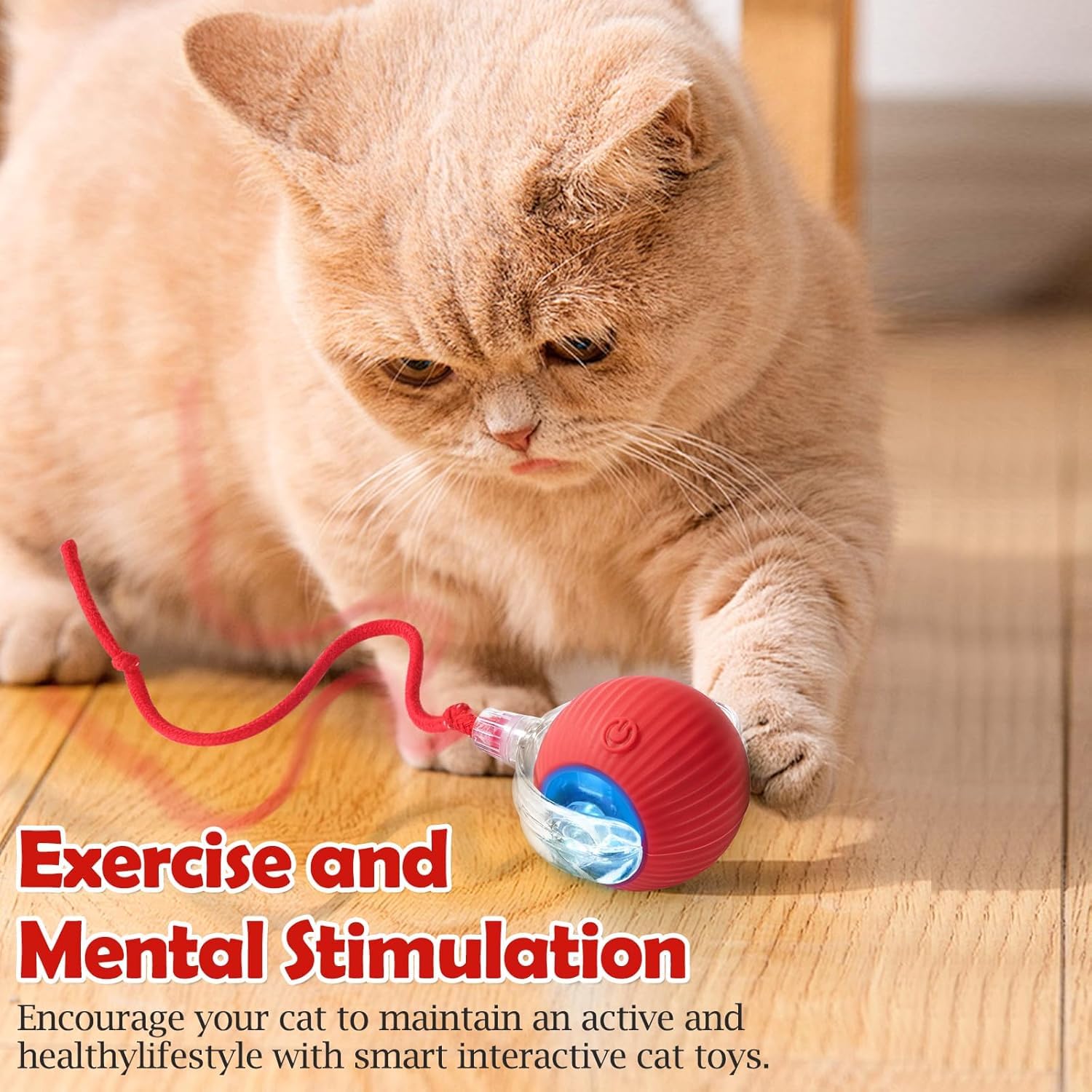 Cat playing with a red and blue toy on a wooden floor.