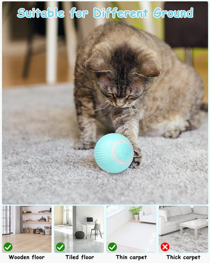 Cat playing with a blue ball on a carpet, with suitability for different ground types shown below.