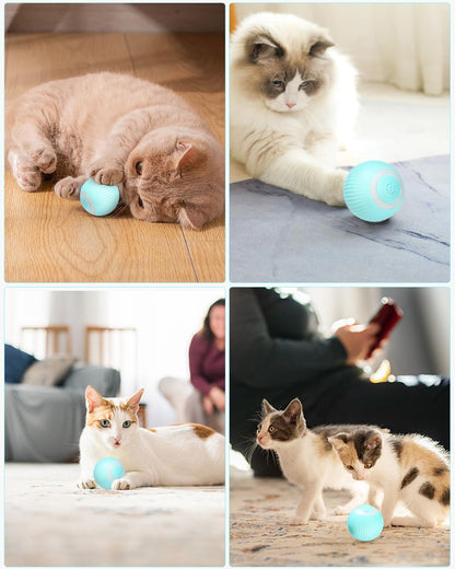 Collage of cats playing with a blue ball in various settings