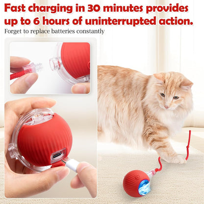 Red electronic pet toy with USB charging cable, used by a cat, on a light background.