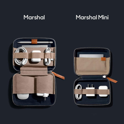 DailyObjects Travel Digital Accessories Storage Bag | Portable Gadget Organizer Case | Regular Zippered Tech Kit Organizer Pouch for Memory Cards - Blue, Canvas, 21 Centimeters