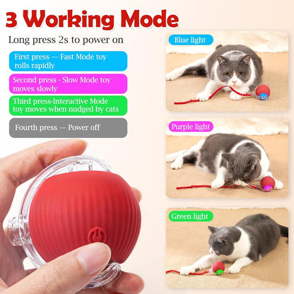 Cat toy with red ball and instructions on working modes, featuring a cat interacting with the toy.