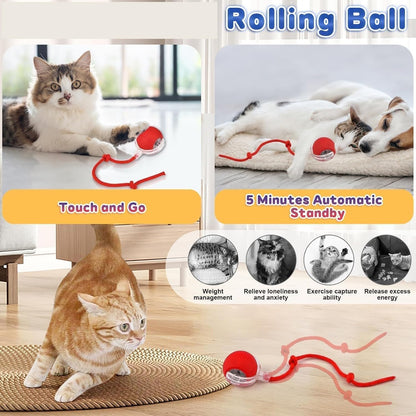 Cat and dog playing with a rolling ball toy in a home setting.