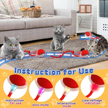 Cat playing with a toy on a rug in a living room, with additional cat images and toy instructions.